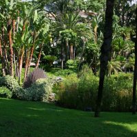 Původně cesta do St Tropez – foto 8