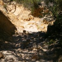 Původně cesta do St Tropez – foto 4