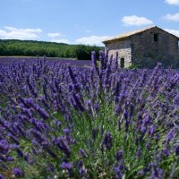 Původně cesta do St Tropez – foto 2