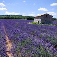 Původně cesta do St Tropez – foto 4