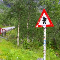 Pozor trol