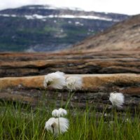 Až na Nordkap – foto 6