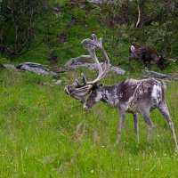 Až na Nordkap – foto 2