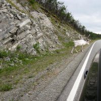 Až na Nordkap – foto 4