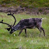 Až na Nordkap – foto 7