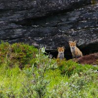 Až na Nordkap – foto 1