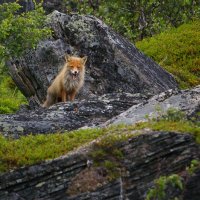 Až na Nordkap – foto 3