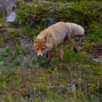 Až na Nordkap – foto 4