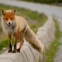 Až na Nordkap – foto 5