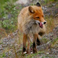 Až na Nordkap – foto 6