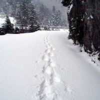 Dachstein – foto 41