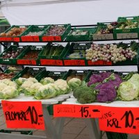 Až na Nordkap – foto 9