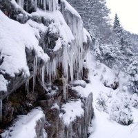 Dachstein – foto 47
