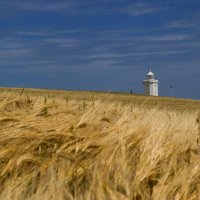 Skotsko křížem krážem – foto 8