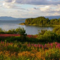 Skotsko křížem krážem – foto 10