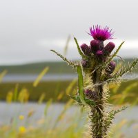 Skotsko křížem krážem – foto 12