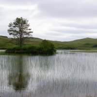 Skotsko křížem krážem – foto 6