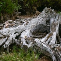 Skotsko křížem krážem – foto 7