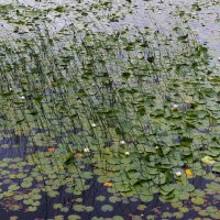 Skotsko křížem krážem – foto 20