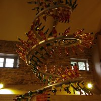 Skotsko křížem krážem – foto 11