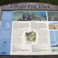 Pyg Track