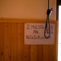 Asi zastánci Strany bůčku
