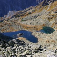 Žabie pleso
