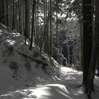 Podzimní Sněžka – foto 14