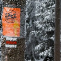 24 hodin na Lysé hoře – foto 12