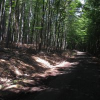 Odbočte vpravo, držte se vlevo. Navigace ví asi něco víc.