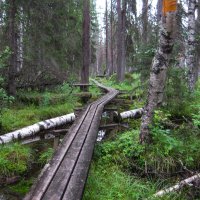 Park před několika lety hodně ohořel