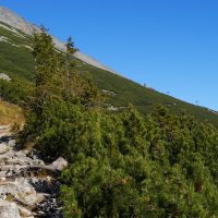 Cesta na Skalnaté pleso