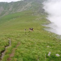 Pohoří Fagaraš – foto 9