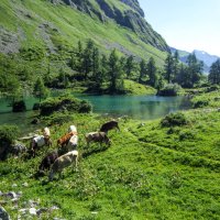 Untere See
