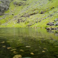 Studené to bylo, ale s ohledem na okolní skoro 30 °C jsem tam vlezl, moc příjemné.