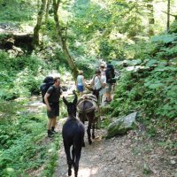 Pohoří Fagaraš – foto 38