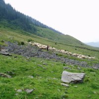 Pohoří Fagaraš – foto 52
