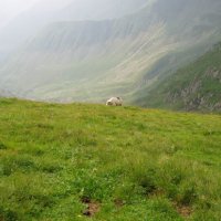 Pohoří Fagaraš – foto 58