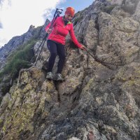 Sedlo mezi Viștea Mare a Moldoveanu