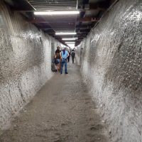 Chodba vedoucí k jednotlivým dolům a spojující starý a nový vchod (cca. 950 m)