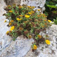 Od moře na vrchol Pyrenejí – foto 5