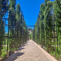 Generalife - Architektova zahrada