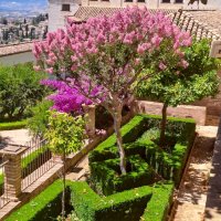 Generalife - Architektova zahrada