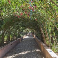 Generalife - Architektova zahrada