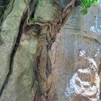 Od moře na vrchol Pyrenejí – foto 12