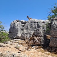 Od moře na vrchol Pyrenejí – foto 15