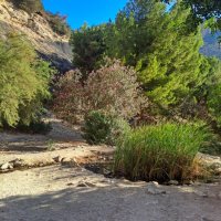 Od moře na vrchol Pyrenejí – foto 15