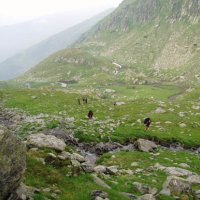 Pohoří Fagaraš – foto 84