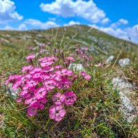 Bosna a Srbsko – foto 25