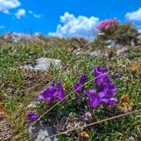 Bosna a Srbsko – foto 26